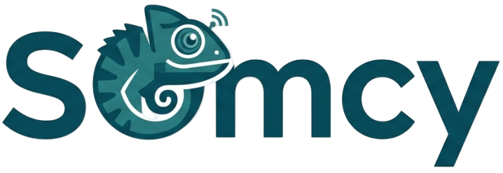 somcy.com